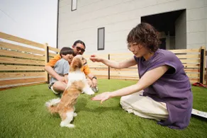 Small dogs welcome | 30-second walk from the sea, a villa with a superb ocean view and private sauna - Image 4