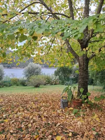 Lake House, Castelo do Bode - Image 4