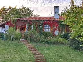 Lake House, Castelo do Bode - Image 5