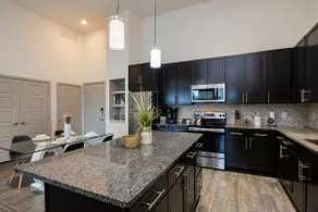 Luxury accommodations in the heart of DFW - Image 4