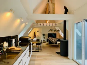 Moon or Mountainview or Pizza oven - Image 3