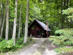 Bear Bottoms Chalet in the Woods - Image 2