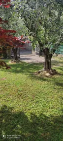ROSI HOME - Image 5