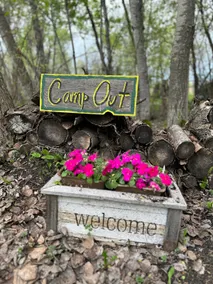 Camp Out - Image 2
