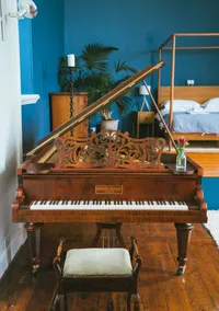 The Music Room - Image 4
