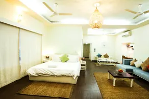Charming separate entire Studio Apartment in South delhi next to Greater Kailash - Image 3