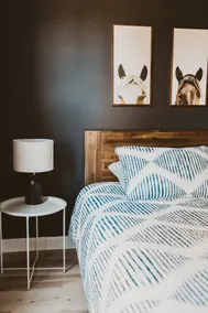 Buffalo Ridge for 6 ppl - 3 Min to Starved Rock - Image 3