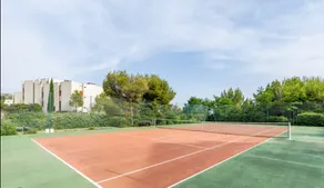 The Stella Cassis - Image 5