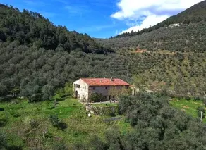 Apartment in an Ancient Oil Mill - Image 2
