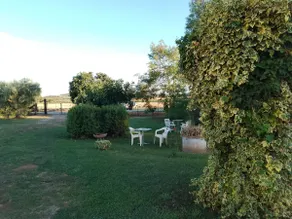 in the countryside near Capalbio, Monte Argentario, Orbetello - Image 5