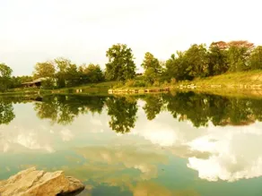 Private Lake Retreat • Fishing & Peaceful Views - Image 3