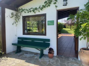 Casa Benjamín - Image 4