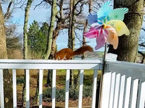 Peaceful Bay View Chalet,Pet Friendly, Own Parking - Image 3