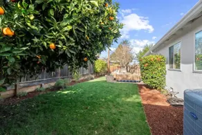 New! Beautiful 3B/3B Oasis｜Central Silicon Valley - Image 5