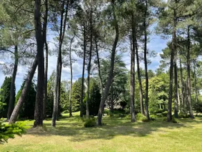 Cottage in the heart of the forest. - Image 4