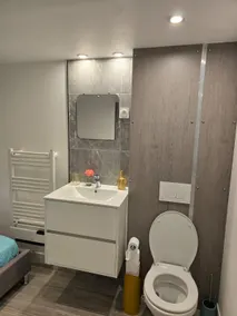 Nice apartment 1 hour from Paris and 45 minutes from Orléans - Image 4