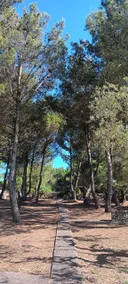 La Casa del Vento, nature, and panoramic sea view - Image 5