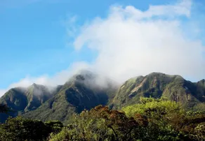 Paradise House, Boquete- hiking, birding, coffee! - Image 3