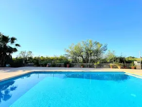 Sunny villa near Alicante, own pool & playground! - Image 2