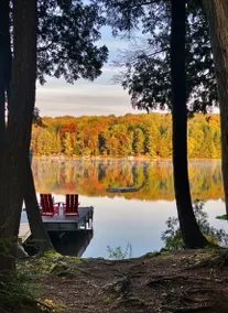 Lakefront cottage, hot tub, dock beach canoe&SUPs - Image 2