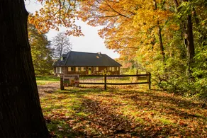 Between Heide and Bos in the Nat. Park Hoge Kempen - Image 3