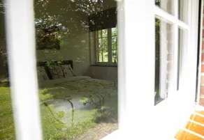 Between Heide and Bos in the Nat. Park Hoge Kempen - Image 5