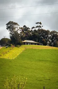 Farm Stay Picturesque views - Image 2