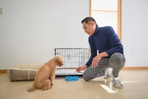 A room where you can spend time with your pet｜Adjacent to a zoo and park｜Recommended as a base for sightseeing in Tokachi｜Free P, Mve-A1｜1 bed. - Image 2