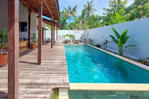 Palm Paradise - Image 4