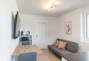 Blüemlisalp Studio - Aare Jungfrau AG - Image 2
