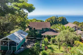 Mini Plantation with a View - Image 2
