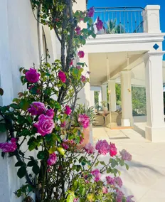 Villa Bellevue in Tourrettes-sur-Loup - Image 3