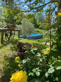 Il Roseto - Image 3