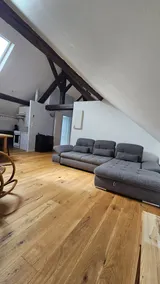 Swiss Border Apartment - Image 5