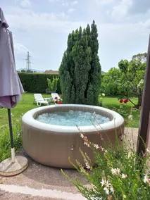 Sun Garden - Image 3