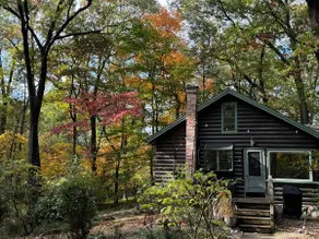 Beautiful Wooded Cabin short walk to Lake Michigan - Image 5