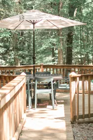 Peaceful Woodland Cabin Near Ludington & Pentwater - Image 4