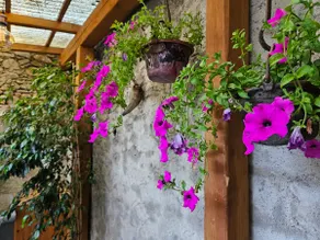 San Leonardo - Patio and Private Parking - Image 2
