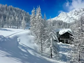 FLORA ALPINA EXPERIENCE - "Ski-to-Door" Brand New Chalet Apartments with Indoor Garage and Mountain View - Image 5