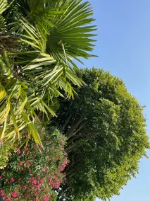Family home in La Rochelle - Image 5