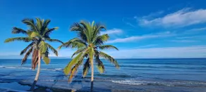 Viva Vieques- King Bed, 5 min from the beach - Image 2