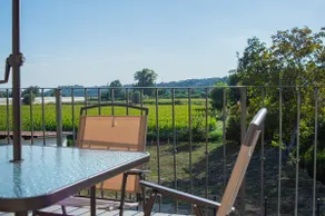 [Prestigious]2 Suites• 2 Private Bathrooms •2 Parking Spaces - Image 4