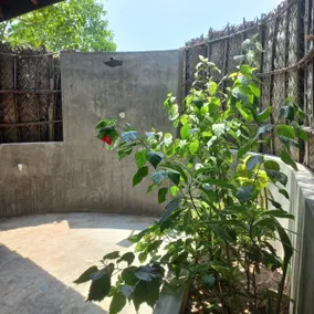 Kalpitiya Kite Doctor Private House with kitchen - Image 4