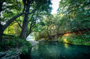 Bellingen Disco Studio | Unique w/ private river - Image 4