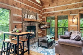 Hot Tub, Fire Pit, Game Room, 15 mins from Pkwy - Image 5
