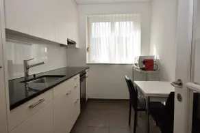 Spacious 1BR near Opera and Lake - Mill 5 43 - Image 4