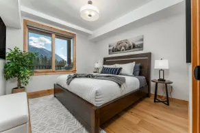 The Sleepy Grizzly | King Bed | Queen Sofa Bed | - Image 2