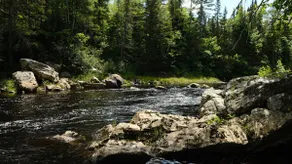 Les Cabines St-O #1 - Image 5
