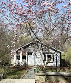 Lake House Living - Image 3