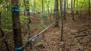 Wine Knot In Blue Ridge - Image 4